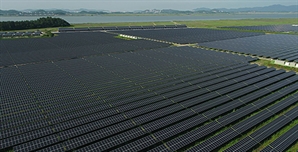 ① 전력섬 ② 긴 국토 ③ 고밀도…손정의 회장이 지적한 '에너지 약점'