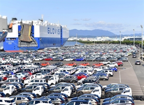 "中 저가공세 2년째…韓도 수출가격 내려"