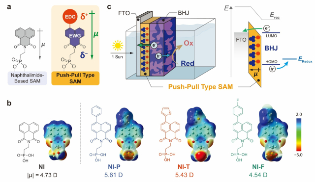 박막을 구성하는 단분자와 광전극의 구조. 연구그림=UNIST