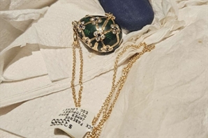 '얼마나 갖고 싶었으면'…3000만원짜리 보석 '꿀꺽' 삼킨 절도범, 6일만에 결국