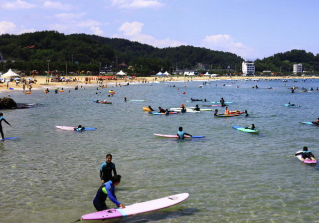 강원도 양양군 죽도해수욕장에서 서핑하는 사람들. 뉴스1.