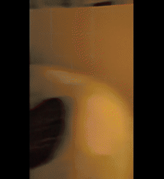 뉴스1(MLB파크 갈무리)