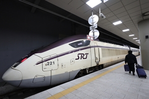  치명적 부작용 우려되는 KTX·SRT 통합 서두를 필요 없다