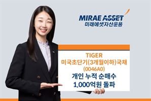 달러 강세에 불티…TIGER 美 초단기국채 ETF 개인 순매수 1309억 돌파