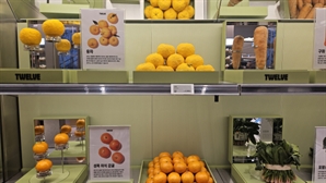 '웰니스 편집숍' 된 청담동 슈퍼마켓