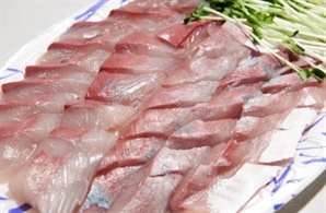 제철 '방어' 먹으려 했는데 어쩌나…"한 점에 3000원 받아야" 말 나오는 이유가