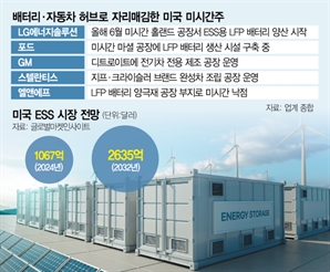 ESS 북미 수요 급증에…엘앤에프, 美 미시간에 LFP 양극재 공장 짓는다