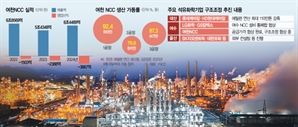 여천NCC, 한화·DL과 공급가 합의…금융당국 "추가 자구안 내야"